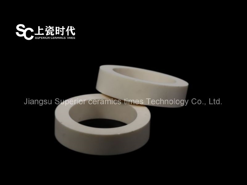 99.5% alumina disc gasket