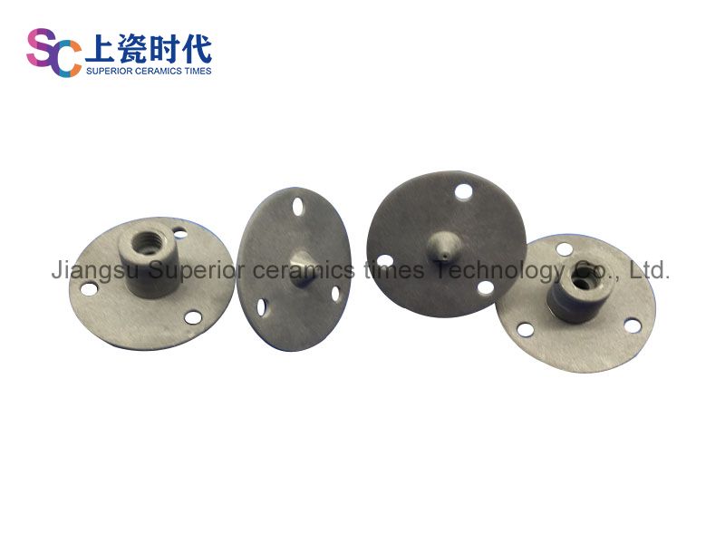 Silicon carbide circular vertebral body